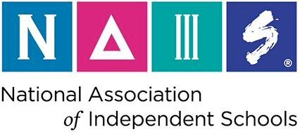 NAIS logo with stylized letters in colored squares